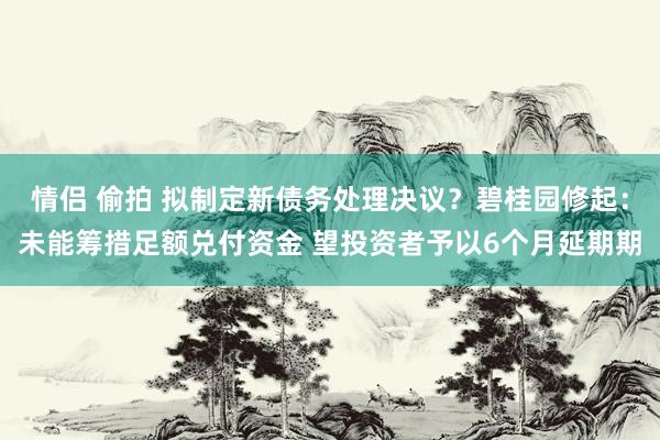 情侣 偷拍 拟制定新债务处理决议？碧桂园修起：未能筹措足额兑付资金 望投资者予以6个月延期期