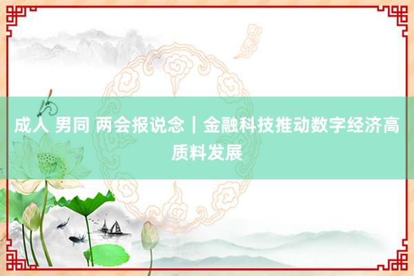 成人 男同 两会报说念｜金融科技推动数字经济高质料发展