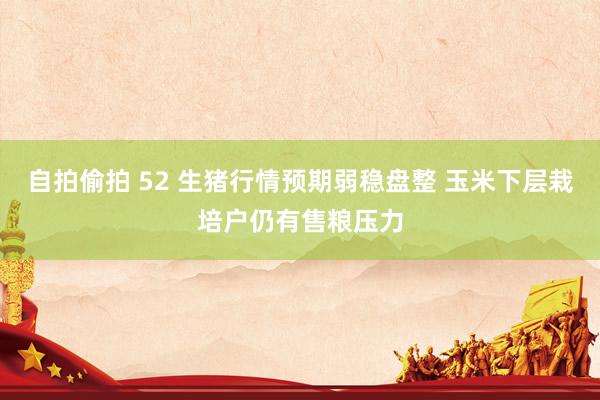 自拍偷拍 52 生猪行情预期弱稳盘整 玉米下层栽培户仍有售粮压力