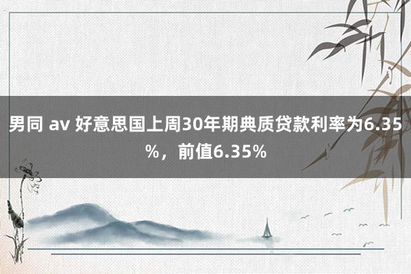 男同 av 好意思国上周30年期典质贷款利率为6.35%，前值6.35%