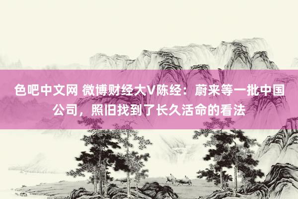 色吧中文网 微博财经大V陈经：蔚来等一批中国公司，照旧找到了长久活命的看法
