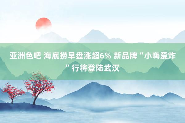 亚洲色吧 海底捞早盘涨超6% 新品牌“小嗨爱炸”行将登陆武汉