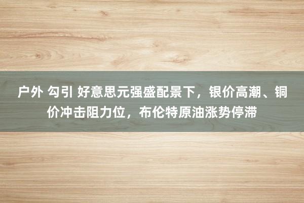 户外 勾引 好意思元强盛配景下，银价高潮、铜价冲击阻力位，布伦特原油涨势停滞