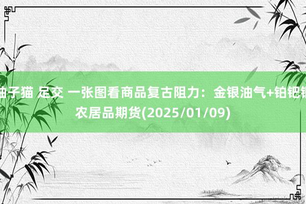 柚子猫 足交 一张图看商品复古阻力：金银油气+铂钯铜农居品期货(2025/01/09)